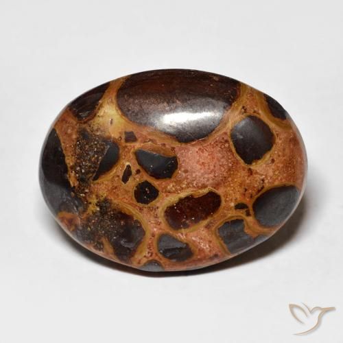 14.26 ct Multicolor Jasper Gemstone, Jasper Gem in Oval Cabochon Shape for Sale.