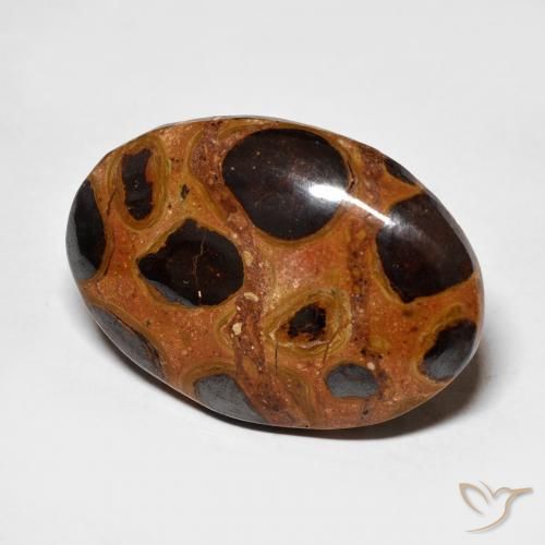 16.68 ct Multicolor Jasper Stone, Natural Jasper in Oval Cabochon Shape for Sale