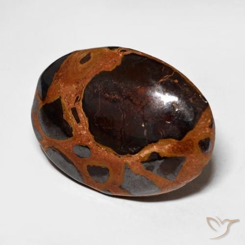 13.64 ct Multicolor Jasper Stone, Natural Jasper in Oval Cabochon Shape for Sale