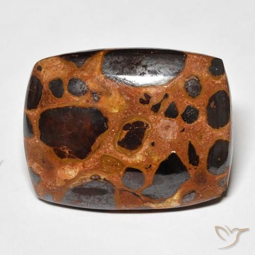 19.46ct Natural Multicolor Jasper, Cushion, Opaque, Photo A