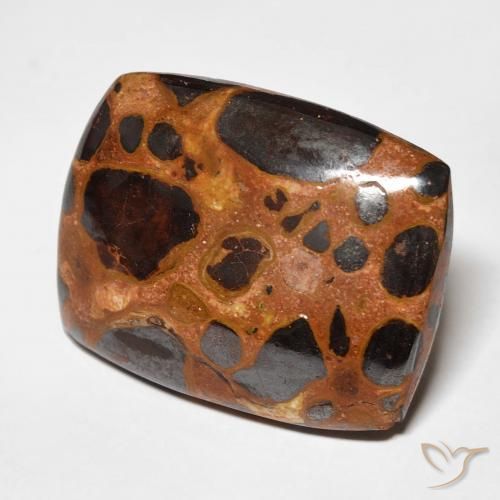 19.46 ct Multicolor Jasper Stone, Natural Jasper in Cushion Cabochon Shape for Sale