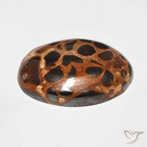 Jasper Gemstone in 25.1 x 18.8 mm Size for Sale, Jasper Stone in Multicolor Color