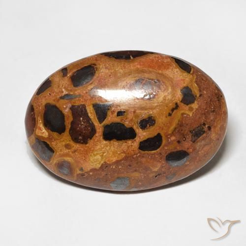 13.09ct Natural Multicolor Jasper, Oval, Opaque