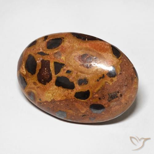 13.09 ct Multicolor Jasper Stone, Natural Jasper in Oval Cabochon Shape for Sale