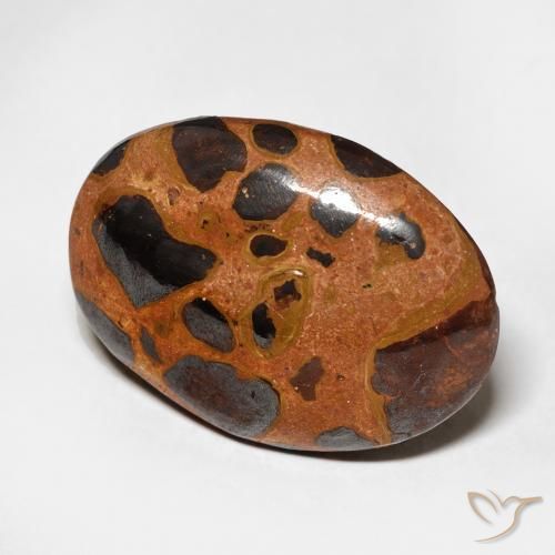 17.08 ct Multicolor Jasper Stone, Natural Jasper in Oval Cabochon Shape for Sale