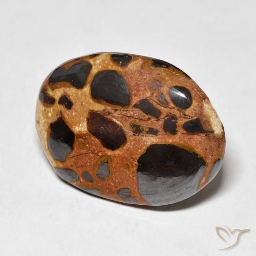 15.22 ct Multicolor Jasper Stone, Natural Jasper in Oval Cabochon Shape for Sale