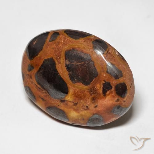 17.65 ct Multicolor Jasper Stone, Natural Jasper in Oval Cabochon Shape for Sale