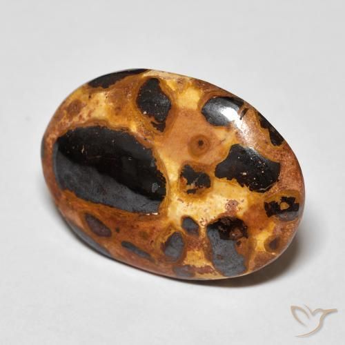 12.26 ct Multicolor Jasper Stone, Natural Jasper in Oval Cabochon Shape for Sale