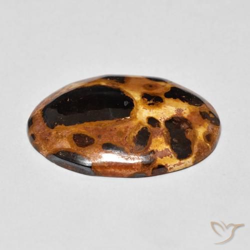 Jasper Gemstone in 22.7 x 16.6 mm Size for Sale, Jasper Stone in Multicolor Color