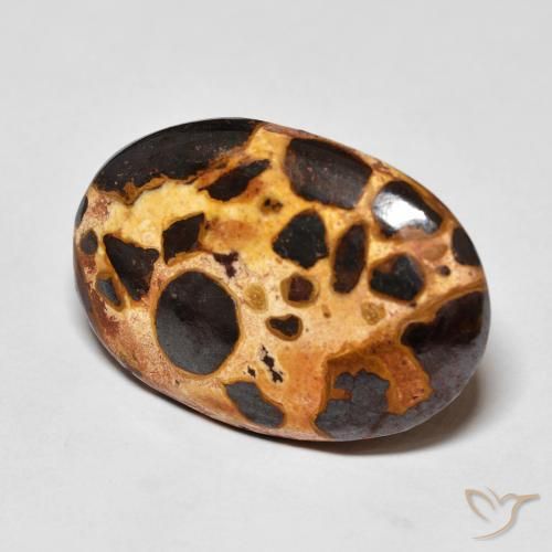 16.03 ct Multicolor Jasper Stone, Natural Jasper in Oval Cabochon Shape for Sale