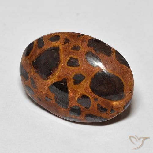 13.01 ct Multicolor Jasper Stone, Natural Jasper in Oval Cabochon Shape for Sale