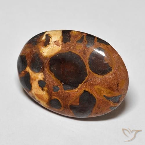 14.20 ct Multicolor Jasper Stone, Natural Jasper in Oval Cabochon Shape for Sale