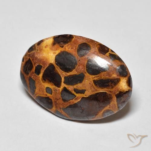 13.57 ct Multicolor Jasper Stone, Natural Jasper in Oval Cabochon Shape for Sale