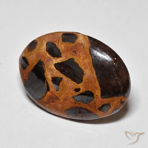 18.67 ct Multicolor Jasper Stone, Natural Jasper in Oval Cabochon Shape for Sale