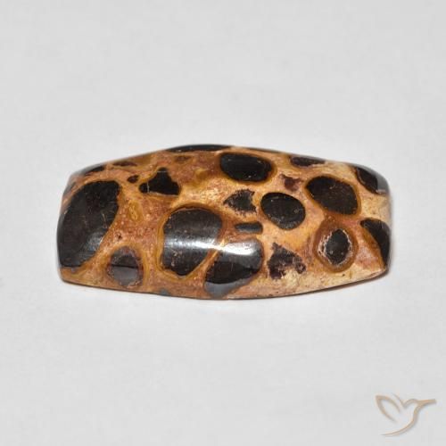 Jasper Gemstone in 23.8 x 14.1 mm Size for Sale, Jasper Stone in Multicolor Color