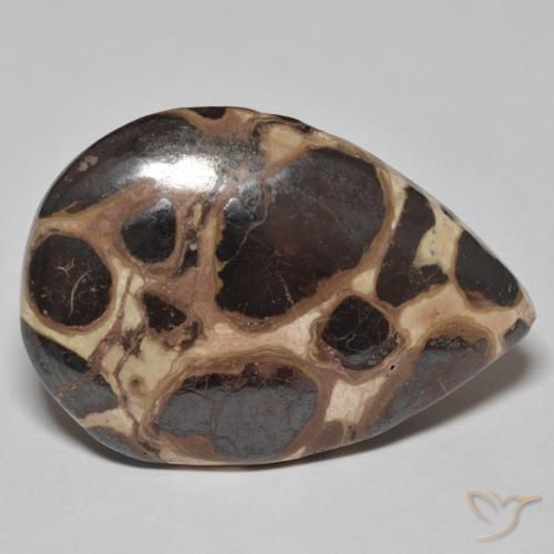 18.58 ct Multicolor Jasper Stone, Natural Jasper in Pear Cabochon Shape for Sale