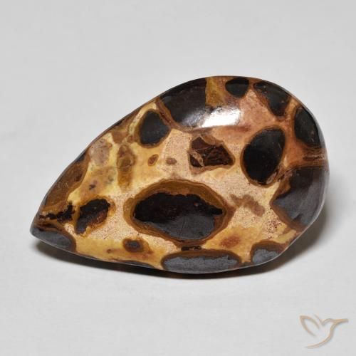 14.68ct Natural Multicolor Jasper, Pear Shape, Opaque