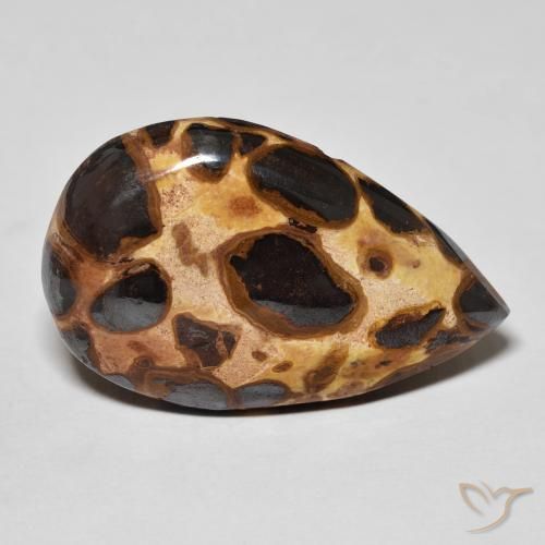 14.68 ct Multicolor Jasper Stone, Natural Jasper in Pear Cabochon Shape for Sale