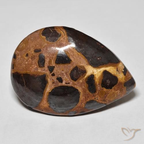 20.87 ct Multicolor Jasper Stone, Natural Jasper in Pear Cabochon Shape for Sale