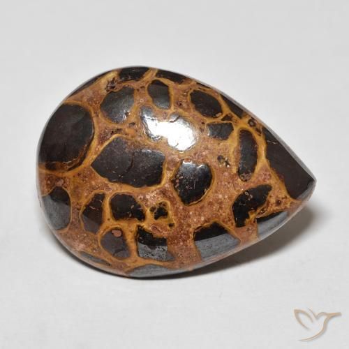 13.93 ct Multicolor Jasper Stone, Natural Jasper in Pear Cabochon Shape for Sale