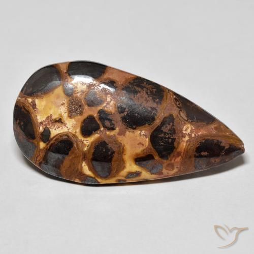 16.69 ct Multicolor Jasper Stone, Natural Jasper in Pear Cabochon Shape for Sale