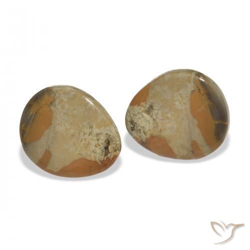 12.44 ctw Multicolor Jasper Stones, Natural Jasper in Fancy Cabochon Shape for Sale