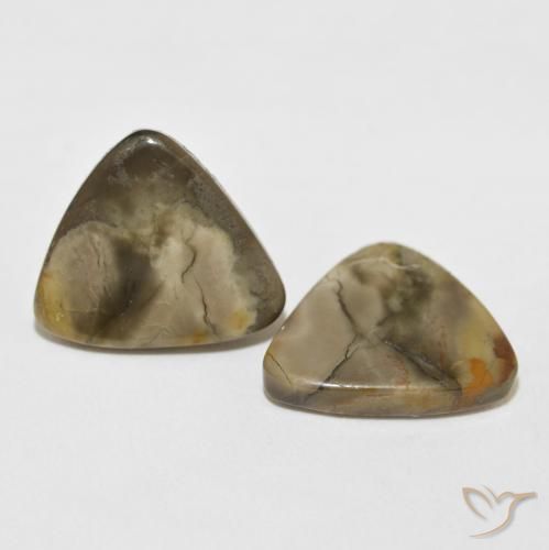 13.82 ctw Multicolor Jasper Stones, Natural Jasper in Trillion Cabochon Shape for Sale