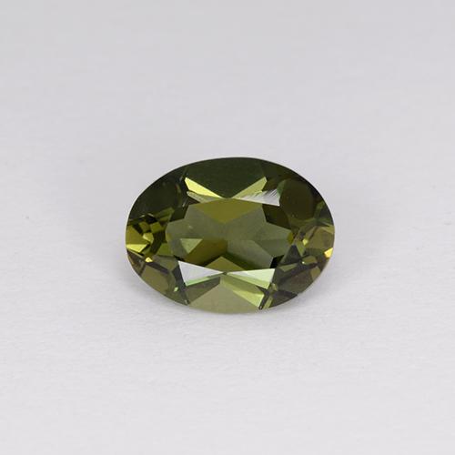 Forest Green Kornerupine Gem - 1.3ct Oval Facet (ID: 389210)