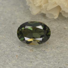 0.3ct Oval Facet Brownish Green Kornerupine Gem for sale 0.3ct Oval Facet Brownish Green Kornerupine Gem (ID: 497934)