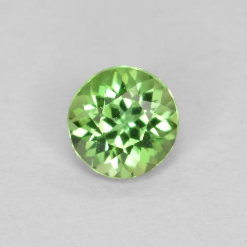 Verde cálido Kornerupina Gema - 0.1ct Faceta Redonda (ID: 564796)