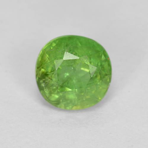 Lebendiges grün Kornerupin Edelstein - 0.6ct Oval facettiert (ID: 564799)