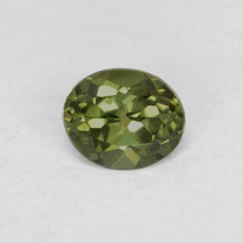 Earthy Green Корнерупин Камень - 0.5ct Фасетный Овал (ID: 580833)