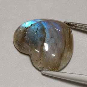 Labradorite Gemstone in 17.3 x 14.6 mm Size for Sale, Labradorite Stone in Multicolor Color