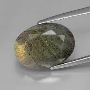 13.58 ct Multicolor Labradorite Gemstone, Labradorite Gem in Oval Facet Shape for Sale.