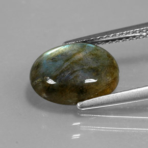 Labradorite Gemstone in 11 x 8.6 mm Size for Sale, Labradorite Stone in Multicolor Color