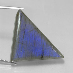 42.05 ct Multicolor Labradorite Stone, Natural Labradorite in Trillion Cabochon Shape for Sale