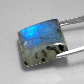 Labradorite Gemstone in 19.8 x 19.4 mm Size for Sale, Labradorite Stone in Multicolor Color