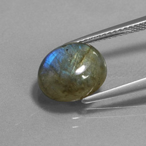 Labradorite Gemstone in 10.8 x 8 mm Size for Sale, Labradorite Stone in Multicolor Color