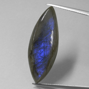 18.92 ct Blue Labradorite Gemstone, Labradorite Gem in Marquise Cabochon Shape for Sale.