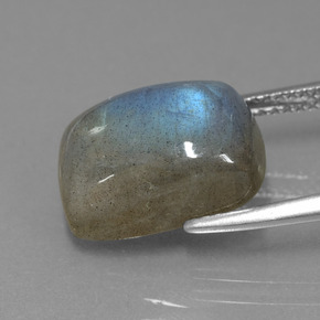 Labradorite Gemstone in 14 x 10 mm (calibrated) Size for Sale, Labradorite Stone in Gray Blue Sheen Color