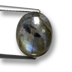 Многоцветный Лабрадорит Камень - 6.2ct Овал Кабошон (ID: 462811)