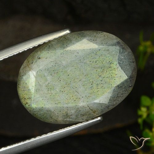 14.58ct Natural Multicolor Labradorite, Oval, Translucent