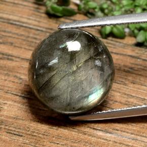 Multicolore Labradorite Gem - 13.5ct Cabochon rotondo (ID: 489581)
