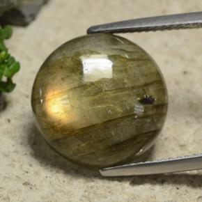 Multicolore Labradorite Gem - 9.7ct Cabochon rotondo (ID: 489589)