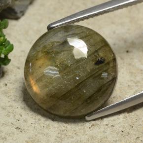 9.74 ct Multicolor Labradorite Stone, Natural Labradorite in Round Cabochon Shape for Sale