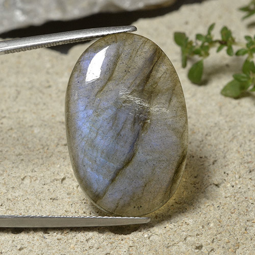 Многоцветный Лабрадорит Камень - 19.7ct Овал Кабошон (ID: 494394)