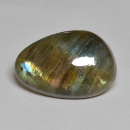 Multicolore Labradorite gemme - 15.3ct Cabochon fantaisie (ID: 577830)