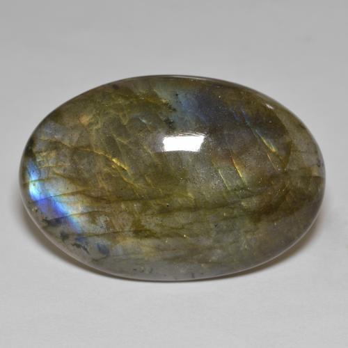 Multicolore Labradorite Gem - 47.8ct Ovale cabochon (ID: 578082)
