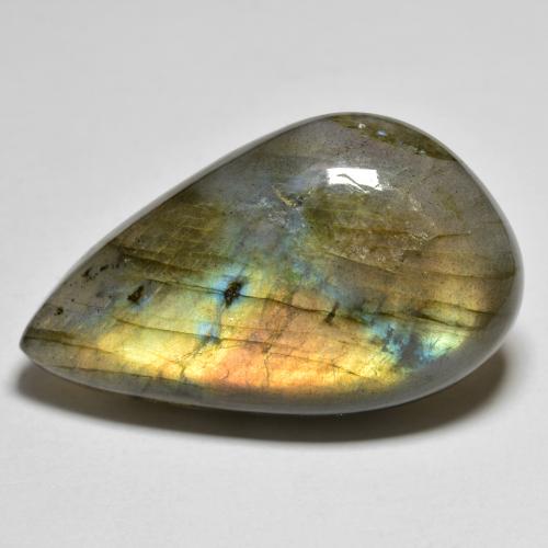 Multicolore Labradorite Gem - 39.5ct Cabochon pera (ID: 586761)
