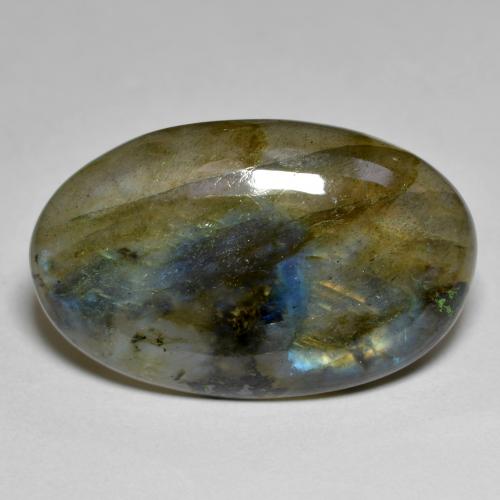 Multicolor Labradorita Gema - 15.5ct Cabujón Óvalo (ID: 590909)